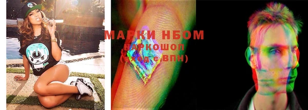 гашик Кодинск