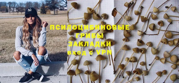 сатива Краснотурьинск