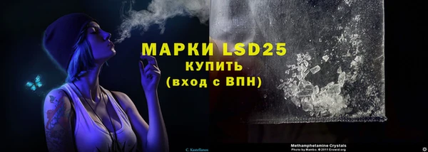 хмурый Корсаков