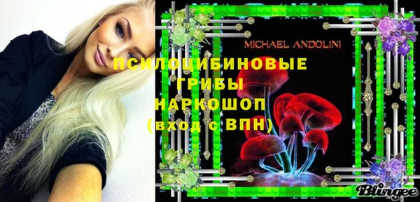 гашик Кодинск