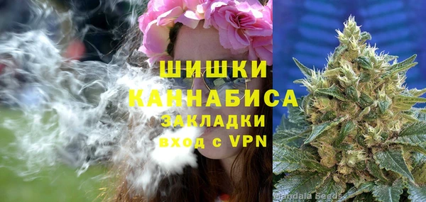 хмурый Корсаков