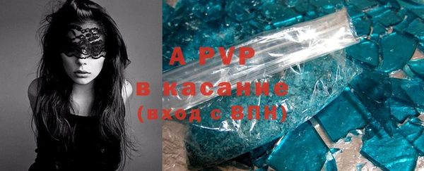 хмурый Корсаков