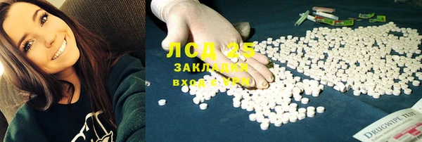 шишки Костерёво