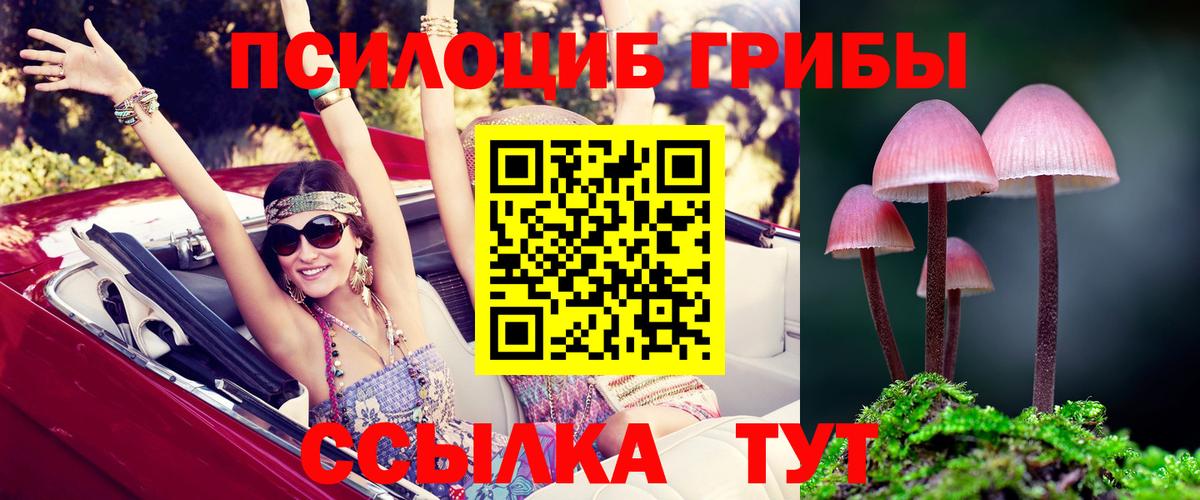Псилоцибиновые грибы GOLDEN TEACHER  Вход с VPN  Луга 